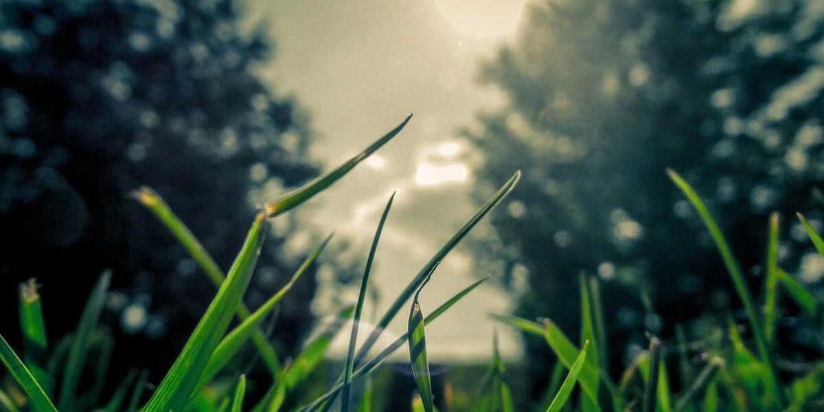 B-2 Bomber Cockpit Systems