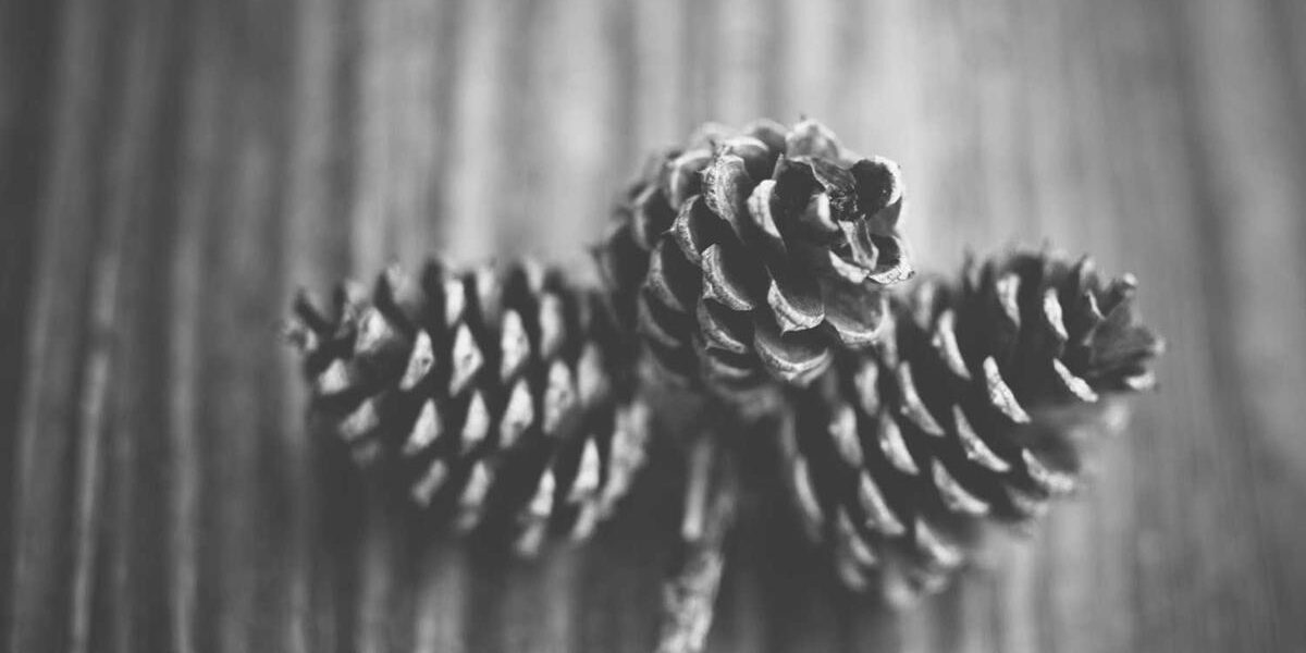 Dark Star Plane: Stealth Aircraft Technology